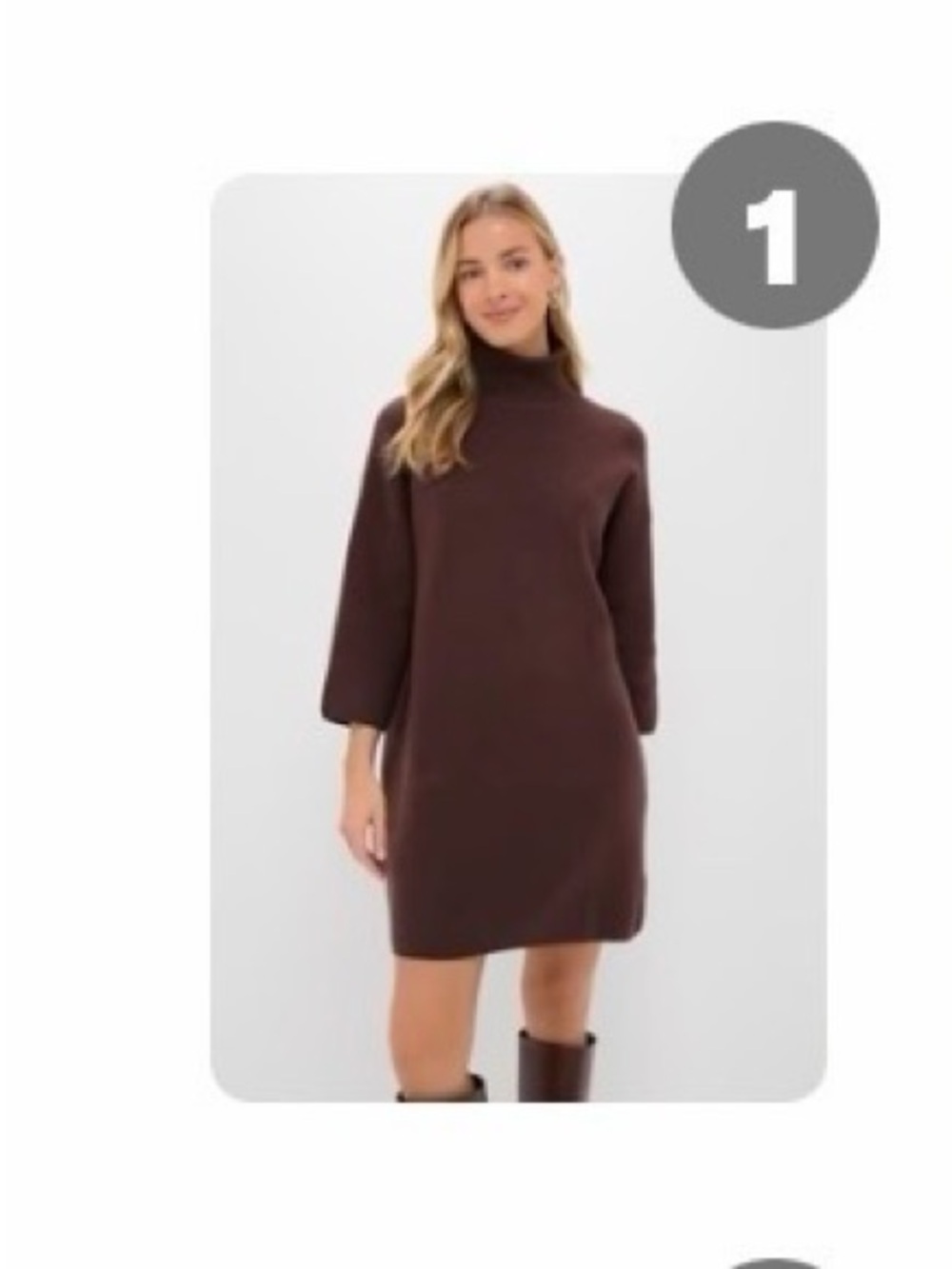 Tuckernuck Brown Turtleneck Shift Dress